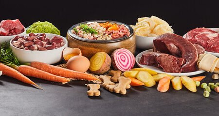 🐕🐱 Alimentação Adequada: A Base da Saúde dos Pets